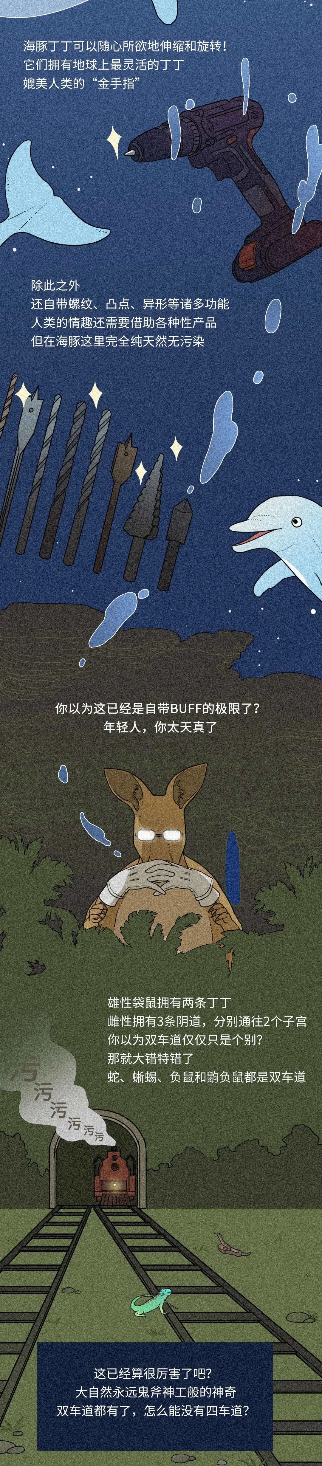 在性事上，人類差遠了！插圖1
