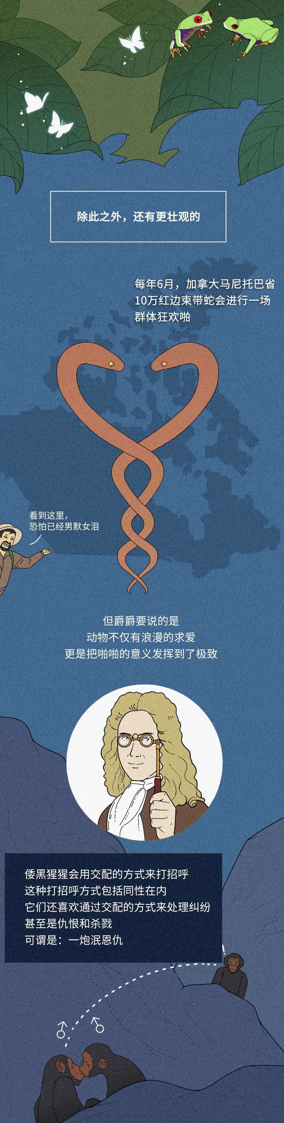 在性事上，人類差遠了！插圖6