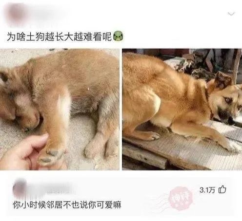 大長腿一字馬蜘蛛俠？插圖12