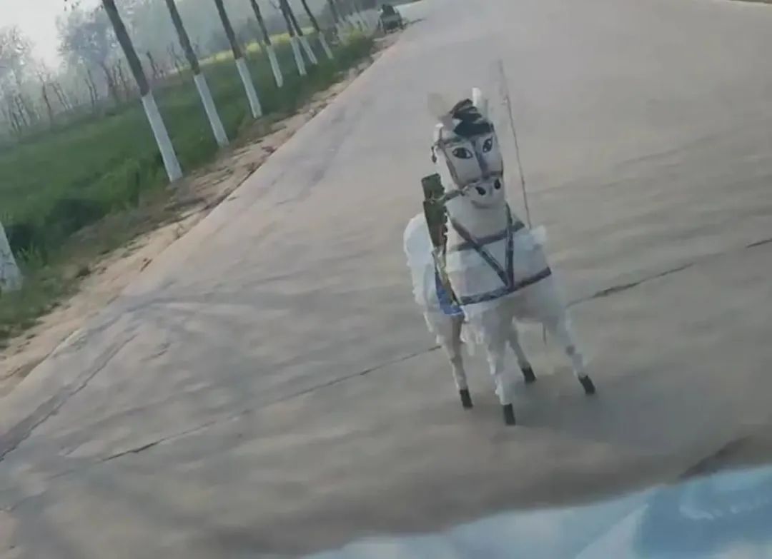 為什么長輩都想要胖胖的兒媳婦？插圖3