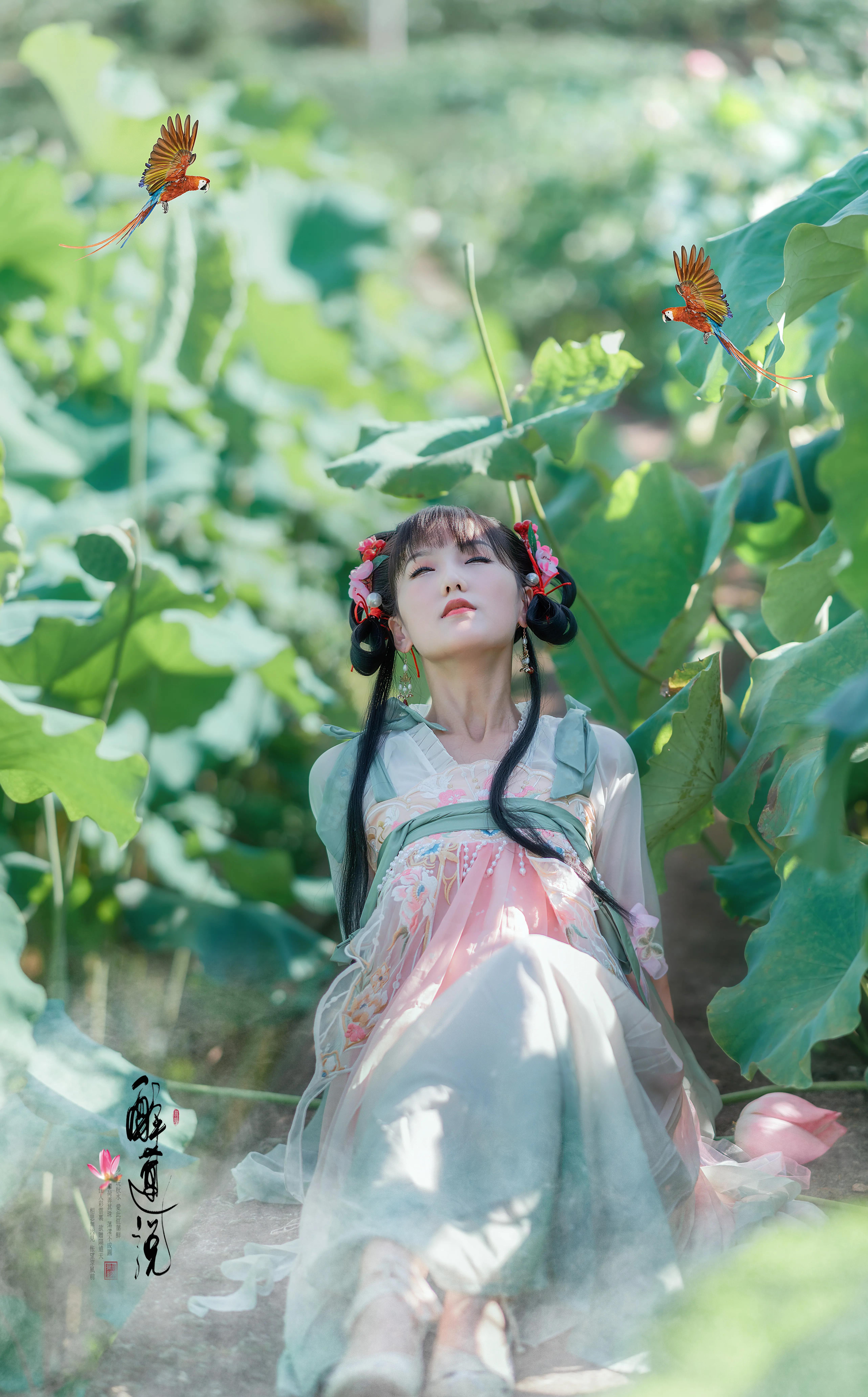 心醉迷，夢醉迷。葉鋪池，花開池。插圖7