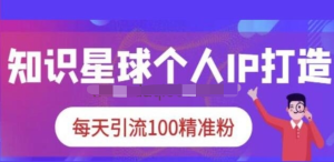 知識星球個人IP打造系列課程，每天引流100精準粉【視頻教程】百度網盤插圖