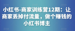 小紅書-商家訓練營12期：讓商家丟掉付流量，做賺錢小紅書博主百度網盤插圖