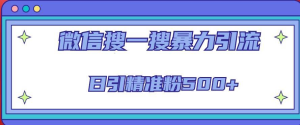 微信搜一搜引流全系列課程，日引精準粉500+（8節課）百度網盤插圖