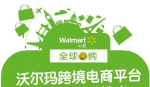 跨境電商沃爾瑪平臺-從0基礎到入門，沃爾瑪跨境紅利新玩法百度網盤插圖