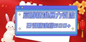豆瓣精準暴力引流，日引精準粉500+【12課時】百度網盤插圖