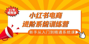小紅書電商新手入門到精通實操課，從入門到精通做爆款筆記百度網盤插圖