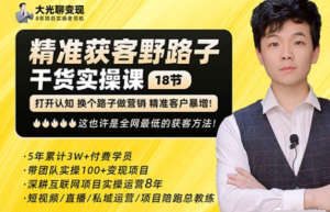 楊光?精準獲客野路子，黑科技快速獲取精準客戶百度網盤插圖