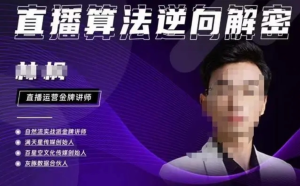 林楓?2023新課直播算法逆向解密，選品、建模、老號重啟、控流、羅盤分析百度網盤插圖