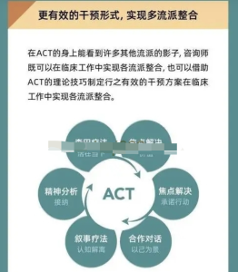 ACT療法實錄與訪談（創始人親授）百度網盤插圖