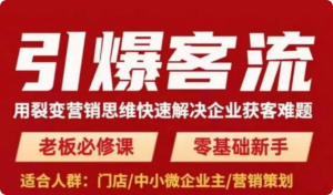 引爆客流，用裂變營銷思維快速解決企業獲客難題百度網盤插圖