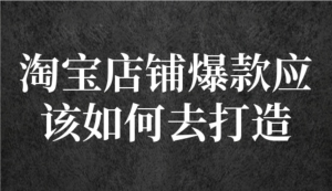 冠東?爆款店鋪淘系爆款選品方法，一個好選品思路決定是否盈利百度網盤插圖
