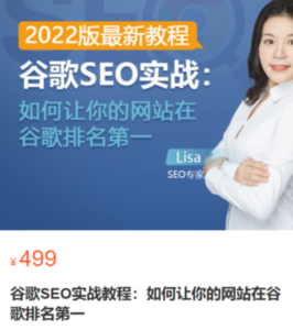 谷歌SEO實戰教程：谷歌排名第一秘籍，內容從入門到高階百度網盤插圖