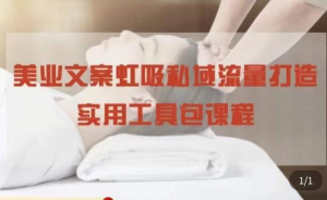 美業文案私域流量打造實用教程：私域流量打造和營銷百度網盤插圖