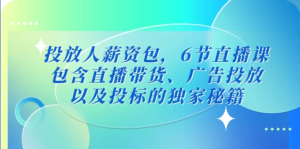 三里屯?投放人薪資包，6節直播課，直播帶貨、廣告投放獨家秘籍百度網盤插圖