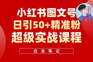 小紅書圖文號日引50+精準流量，新手小白實戰的小紅書引流課百度網盤插圖