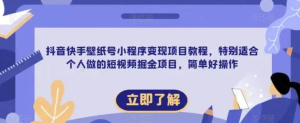 抖音快手壁紙號小程序變現項目教程，適合個人短視頻掘金項目百度網盤插圖