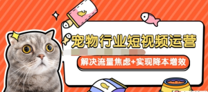 寵物/行業短視頻運營流量增長，解決流量焦慮+實現降本增效百度網盤插圖