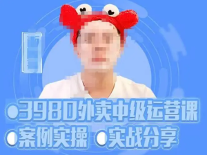 水獺會系統外賣運營＋招商方案，案例實操分享百度網盤插圖