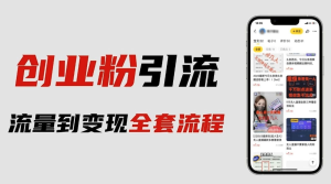 價值980的2023最新暴力引流創業粉絲玩法，單日被動引流50+創業粉百度網盤插圖