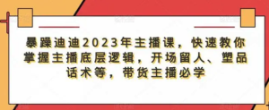 暴躁迪迪2023年主播課，快速教你掌握主播底層邏輯，開場留人塑品話術等，帶貨主播必學百度網盤插圖