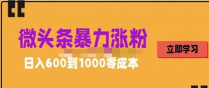 微頭條暴力漲粉技巧搬運文案就能漲幾萬粉絲，0成本日賺600百度網盤插圖