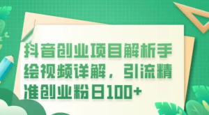 抖音創業項目解析手繪視頻詳解，引流精準創業粉百度網盤插圖