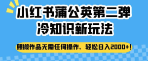 小紅書蒲公英冷知識新玩法，照搬作品賺錢副業百度網盤插圖