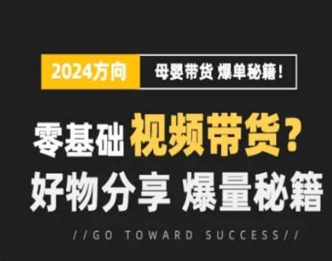 短視頻母嬰賽道實操流量訓練營，零基礎視頻帶貨，好物分享，爆量秘籍插圖