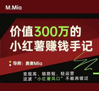 【抖音上新】價值300萬的小紅書賺錢手記 變現高、鏈路短、輕運營，這波“小紅薯風口”不能再錯過。