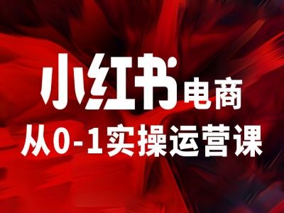 小紅書電商從0-1實操運營課，讓你從小白到精英插圖