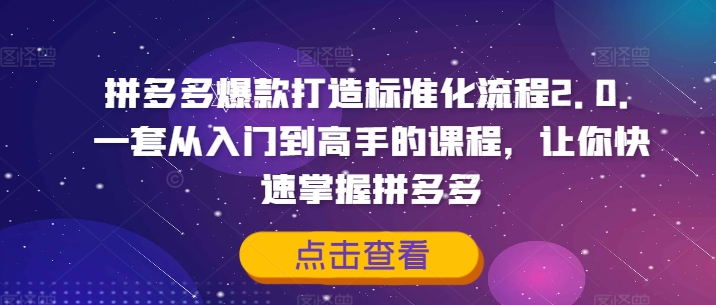 拼多多爆款打造標準化流程2.0，一套從入門到高手的課程，讓你快速掌握拼多多插圖