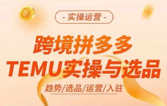 跨境拼多多TEMU實操與選品，多多temu跨境選品運營實操插圖