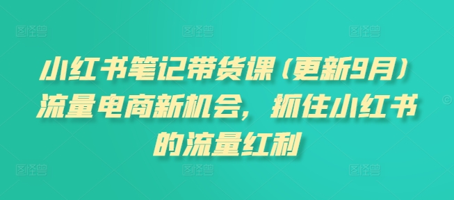 小紅書筆記帶貨課(更新9月)流量電商新機會，抓住小紅書的流量紅利插圖