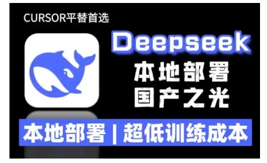 2025年deepseek R1 大型模型本地安裝部署(文件+教程)本地部署，超低訓練成本插圖